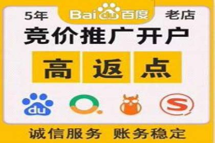 揭秘sem百度竞价背后的成功秘诀与案例